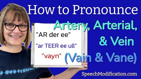 how to pronounce artery|how do you pronounce arterial.